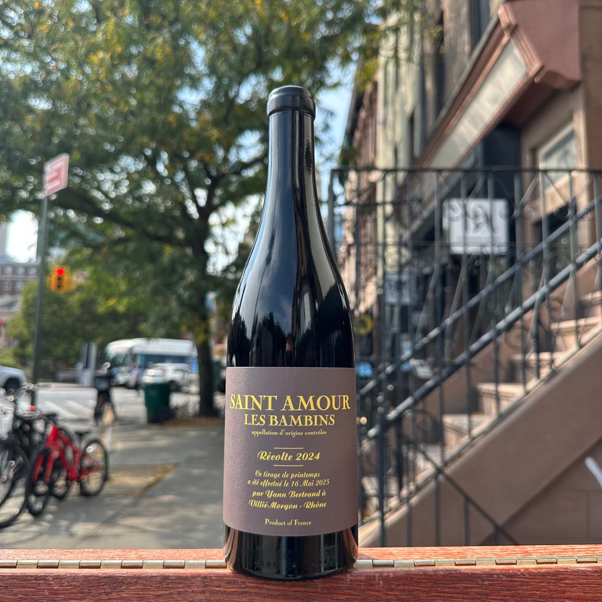 Yann Bertrand, “Saint-Amour, ‘Les Bambins’” 2024