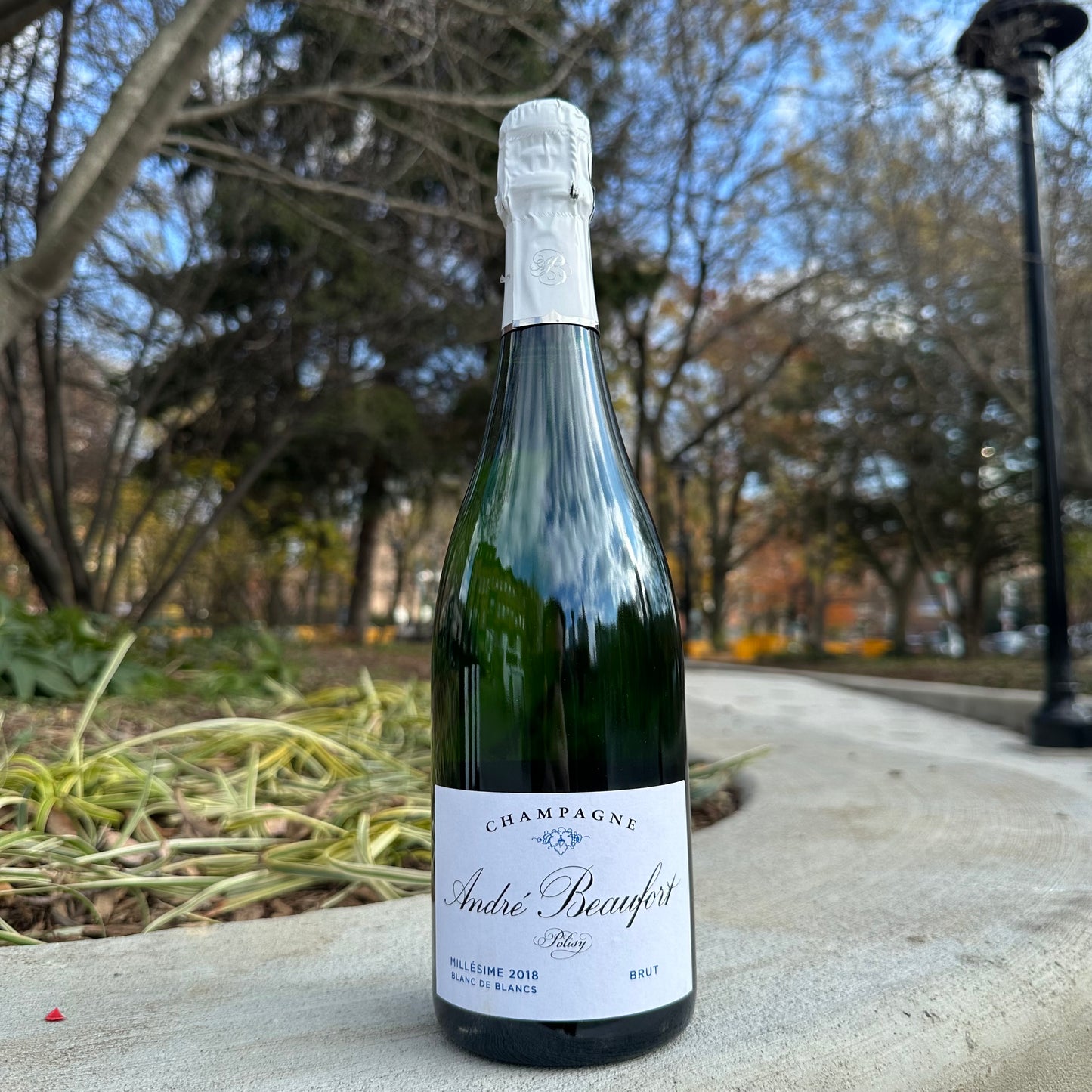 Champagne André Beaufort, "Polisy Blanc des Blancs" 2018