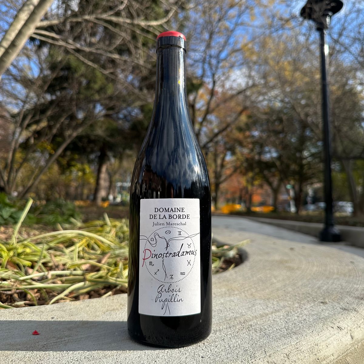 Domaine de La Borde, "Pinotstradamus" 2022