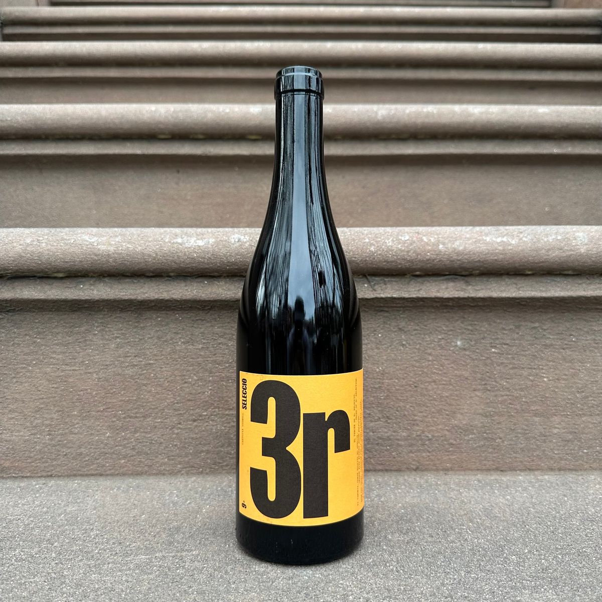 Celler 9+, "Tarnoja 3r" 2023