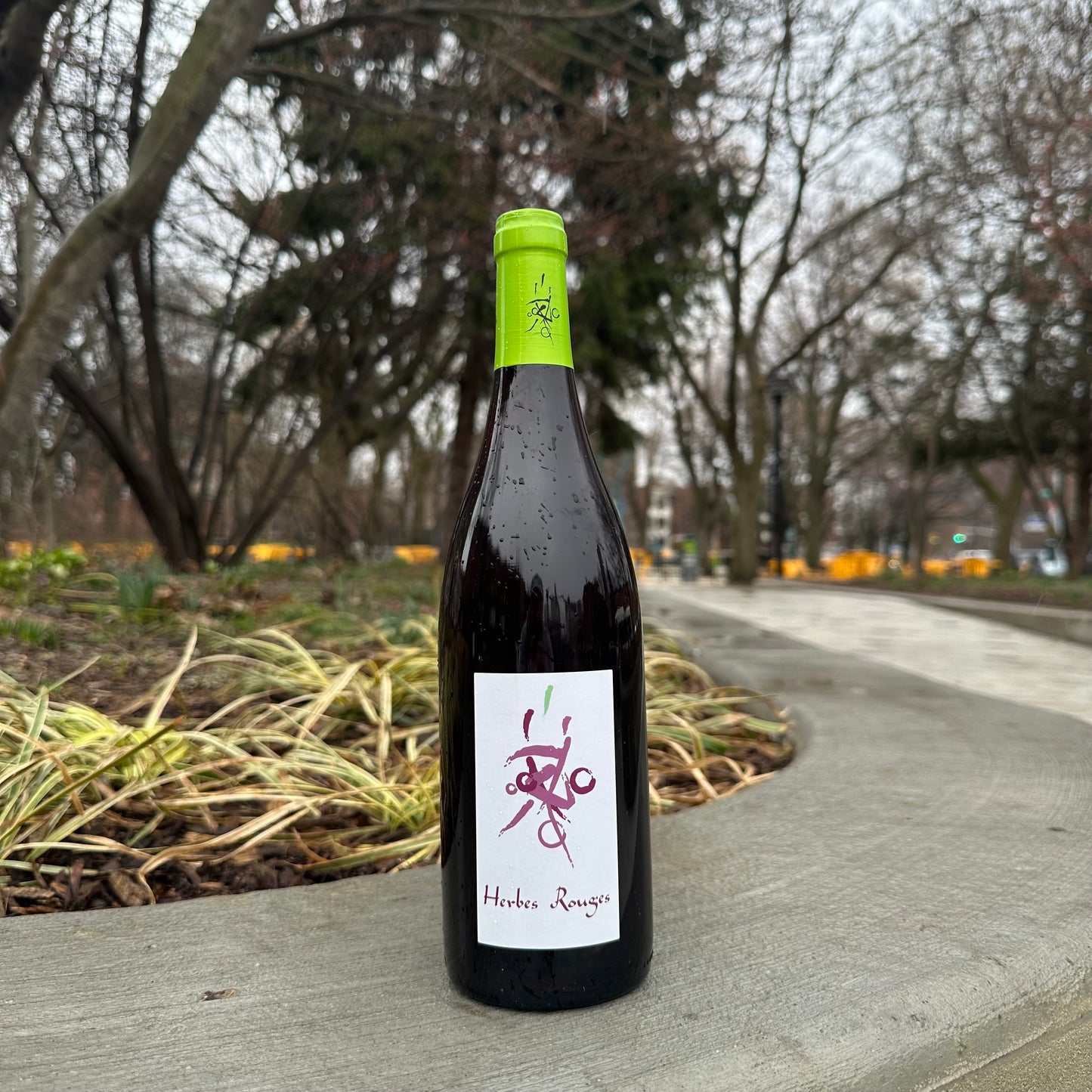 Clément Baraut, "Herbes Rouges" 2022