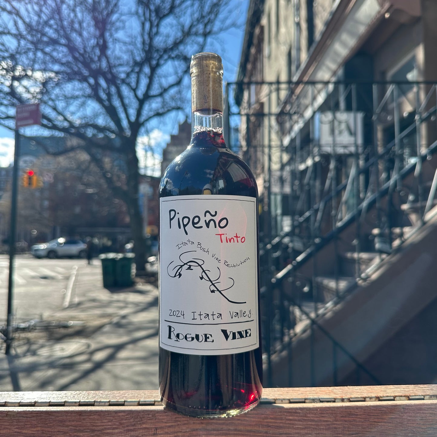 Rogue Vine, "Pipeño Tinto [1L]" 2024