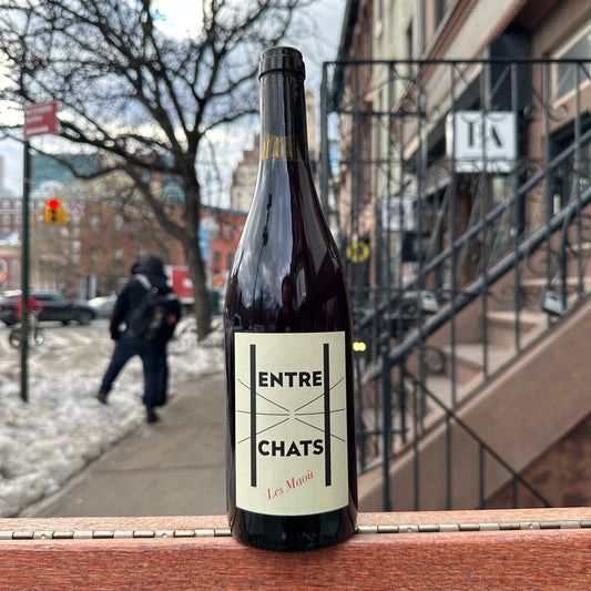 Les Maoù, "Entre Chats" 2023