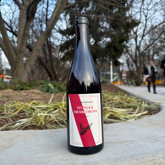 Yannick Meckert, "Stupeur et Tremblements" NV