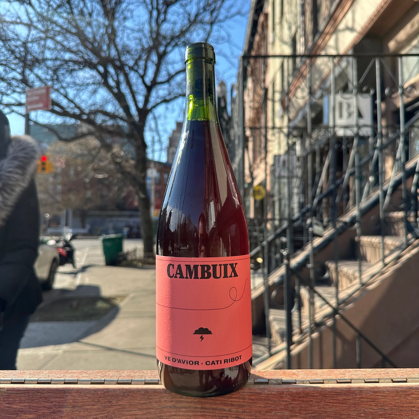 Cati Ribot, "Cambuix [1L]" 2024