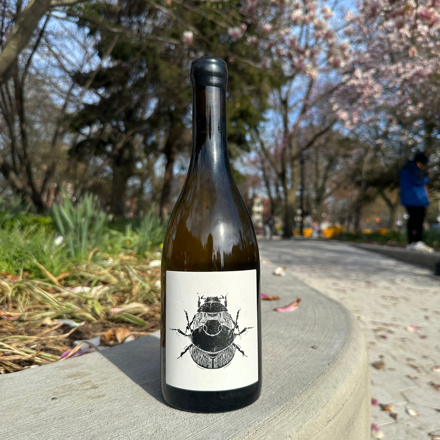 Vin Noé, “Puligny-Montrachet Le Trezin, ‘Superposition’” 2023
