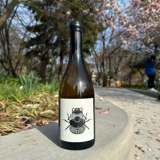 Vin Noé, “Puligny-Montrachet Le Trezin, ‘Superposition’” 2023