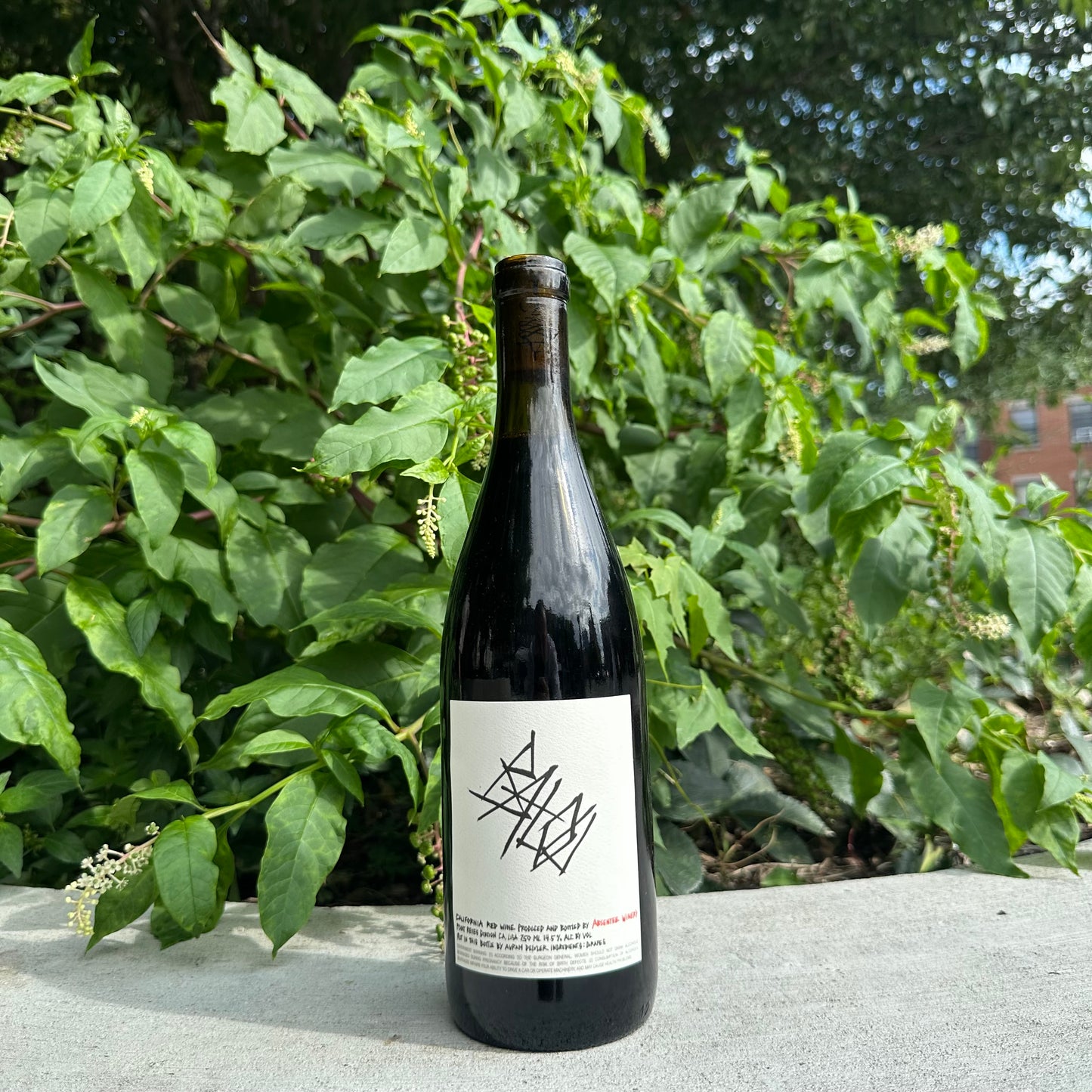 Absentee Winery, "Balou" 2023