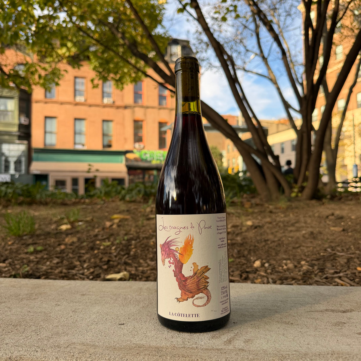 Domaine de La Côtelette, "Trognes de Pinot" 2025