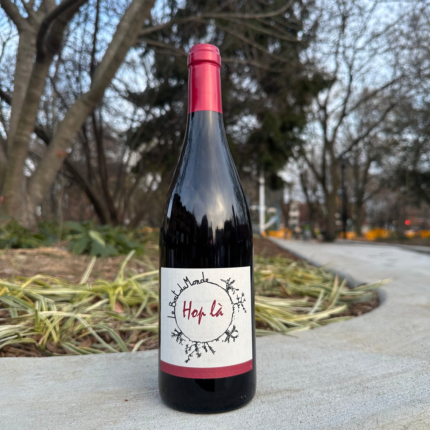 Le Bout du Monde, "Hop La" 2019