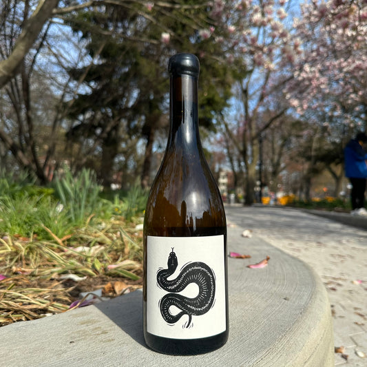 Vin Noé, “Saint-Aubin 1er Cru La Combe, ‘Shadows’” 2024