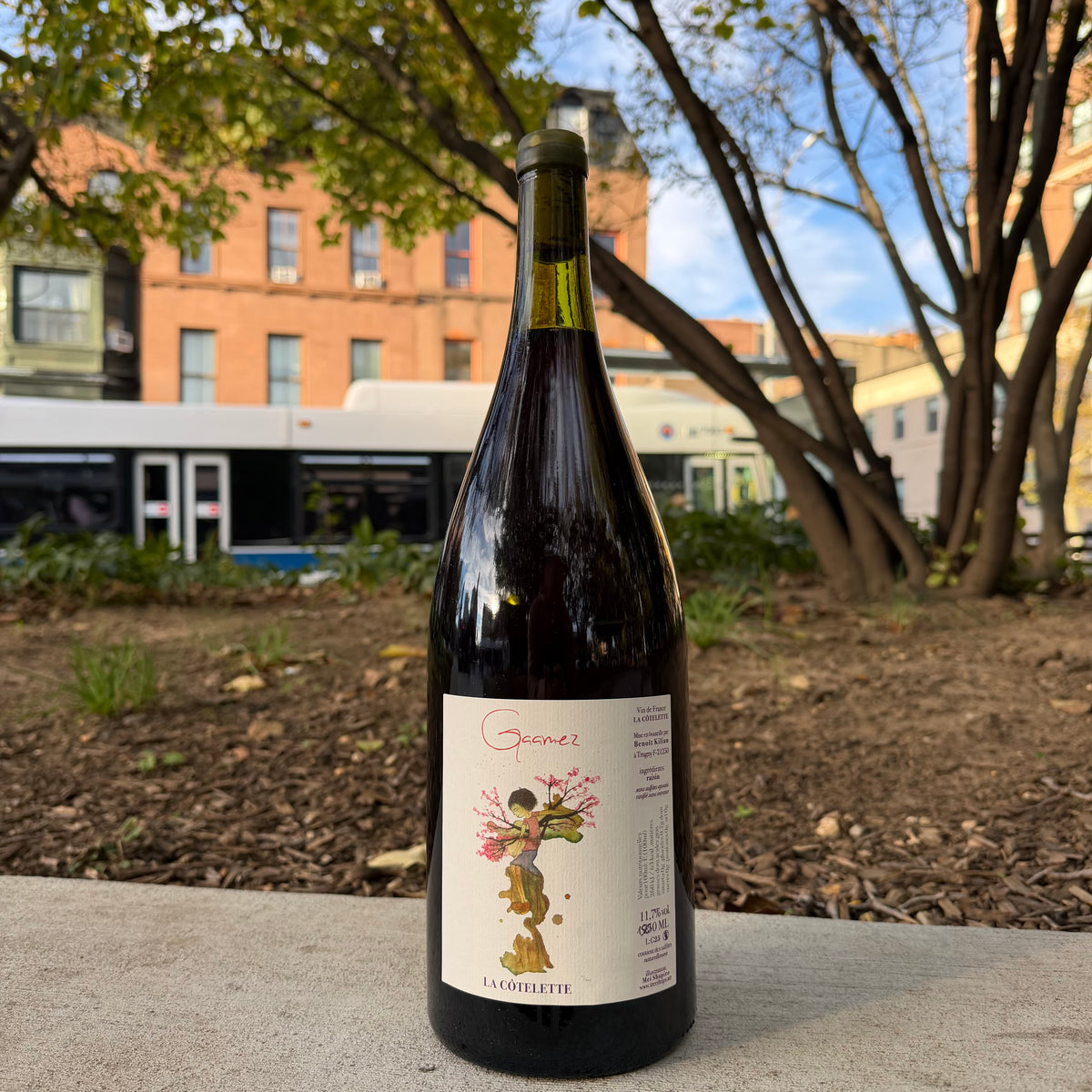 Domaine de La Côtelette, "Gaamez" 2025 [1.5L - MAG]