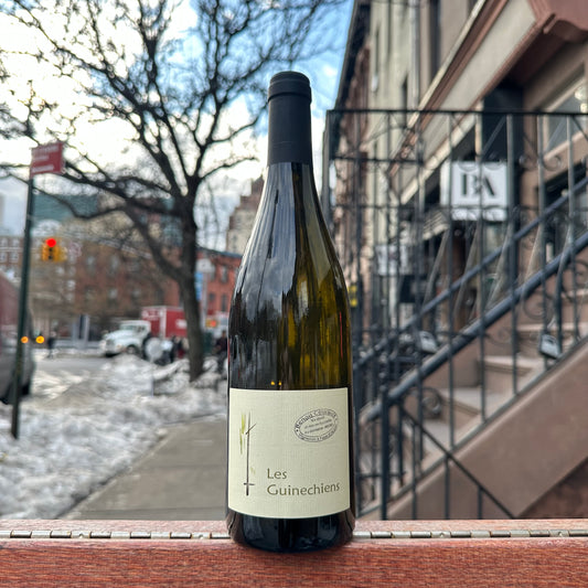 Benoît Courault, "Les Guinechiens" 2023