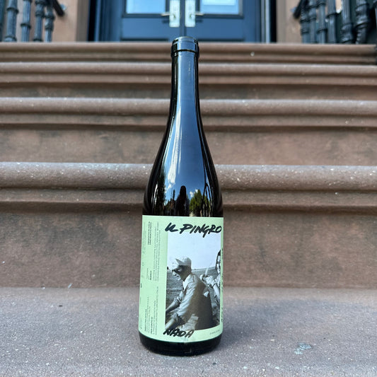 Il Pingro, "Nada" 2023