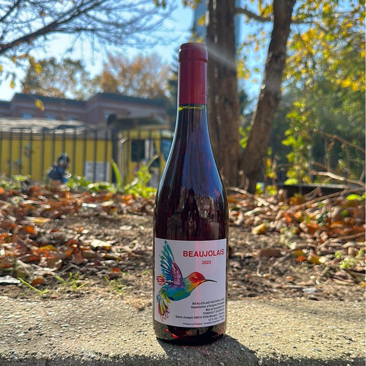 Thibault Ducroux, "Beaujolais Nouveau" 2023