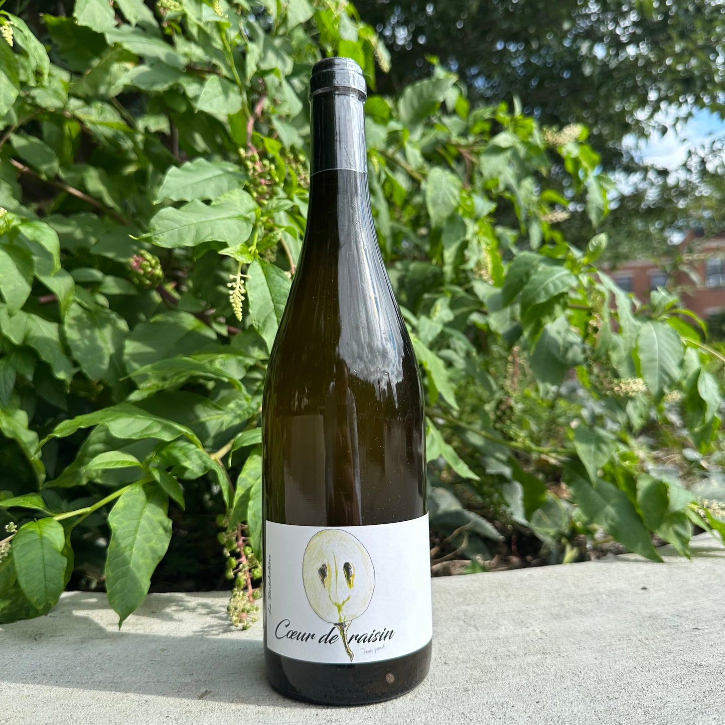 Domaine de La Sénéchalière, "Coeur de Raisin" 2025