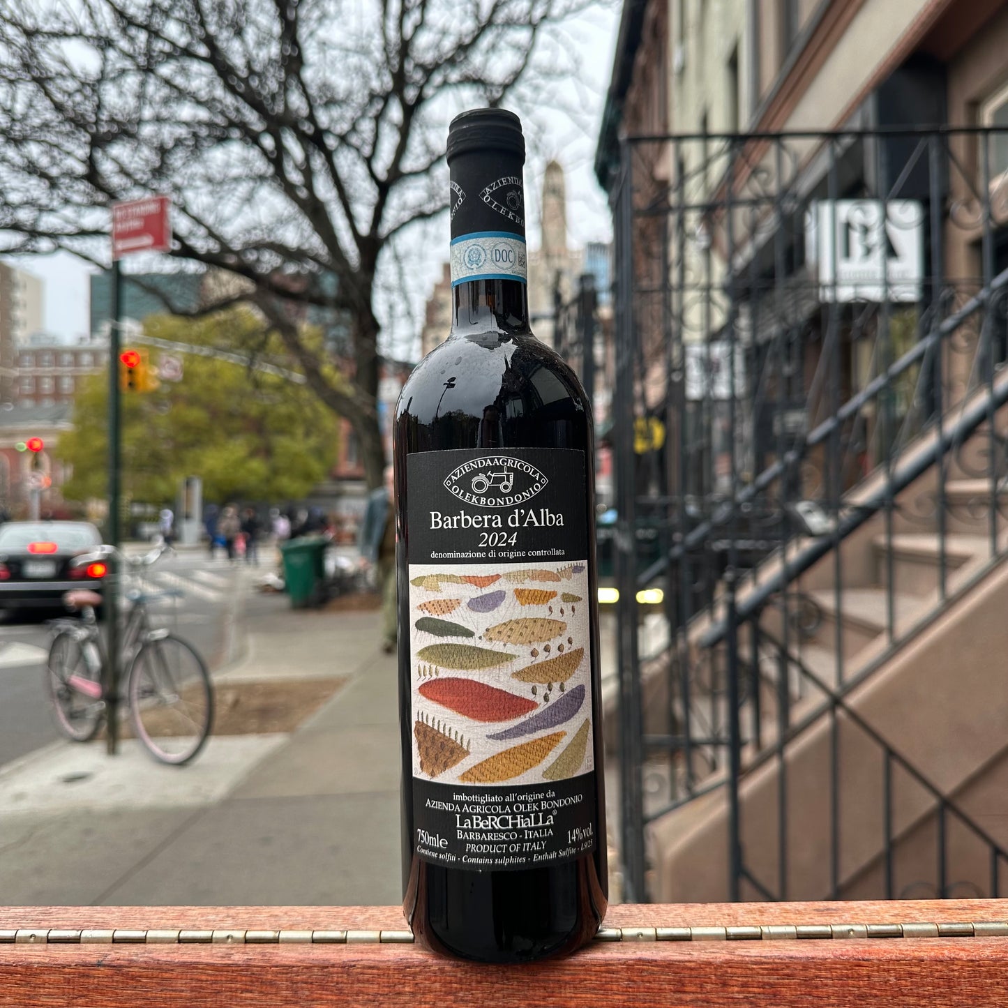 Olek Bondonio, "Barbera d'Alba" 2024