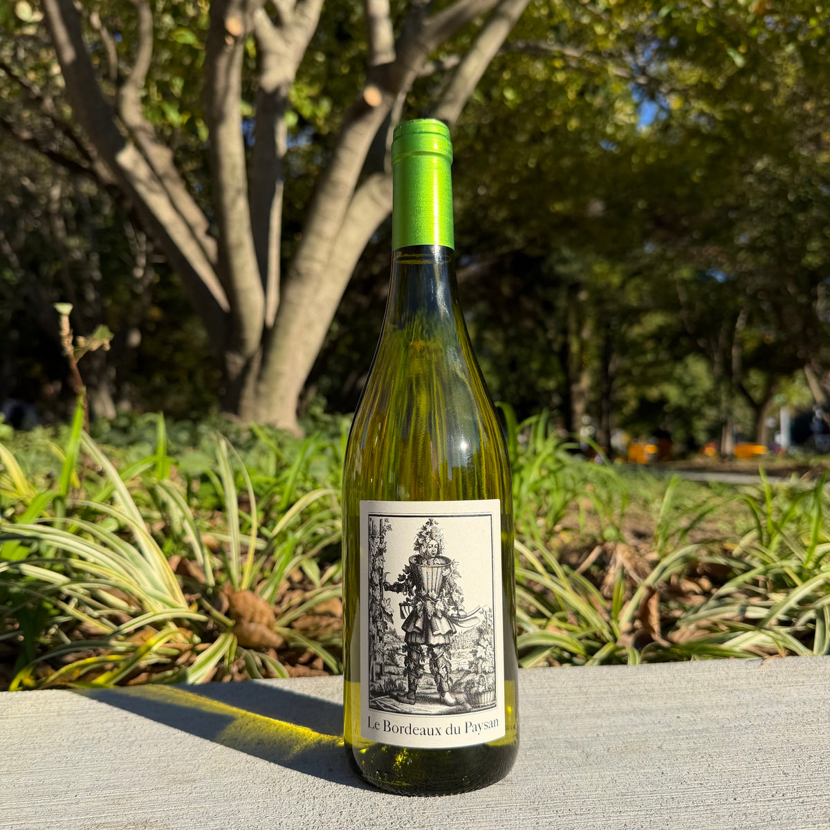 Le Bordeaux du Paysan, "Blanc" 2025