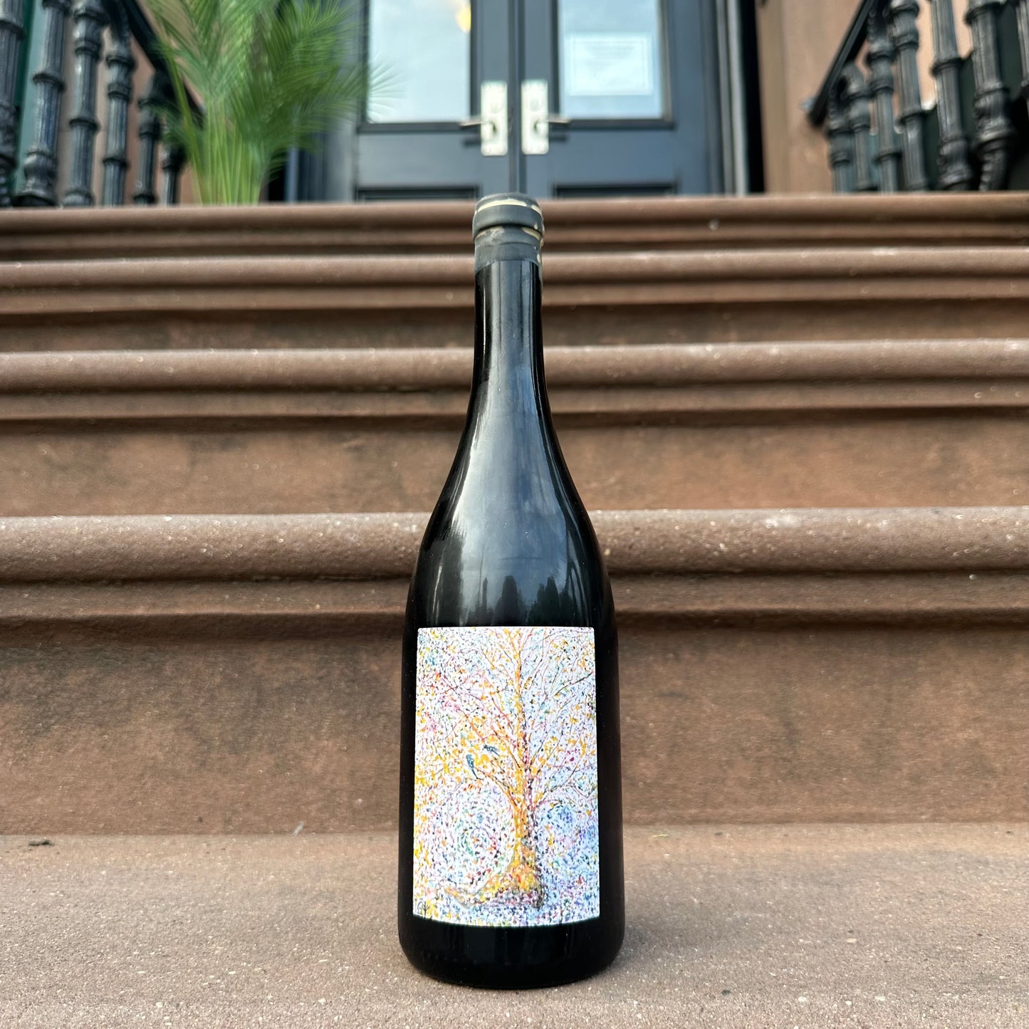 Imanol Garay, "Tannat de Moncade" 2024