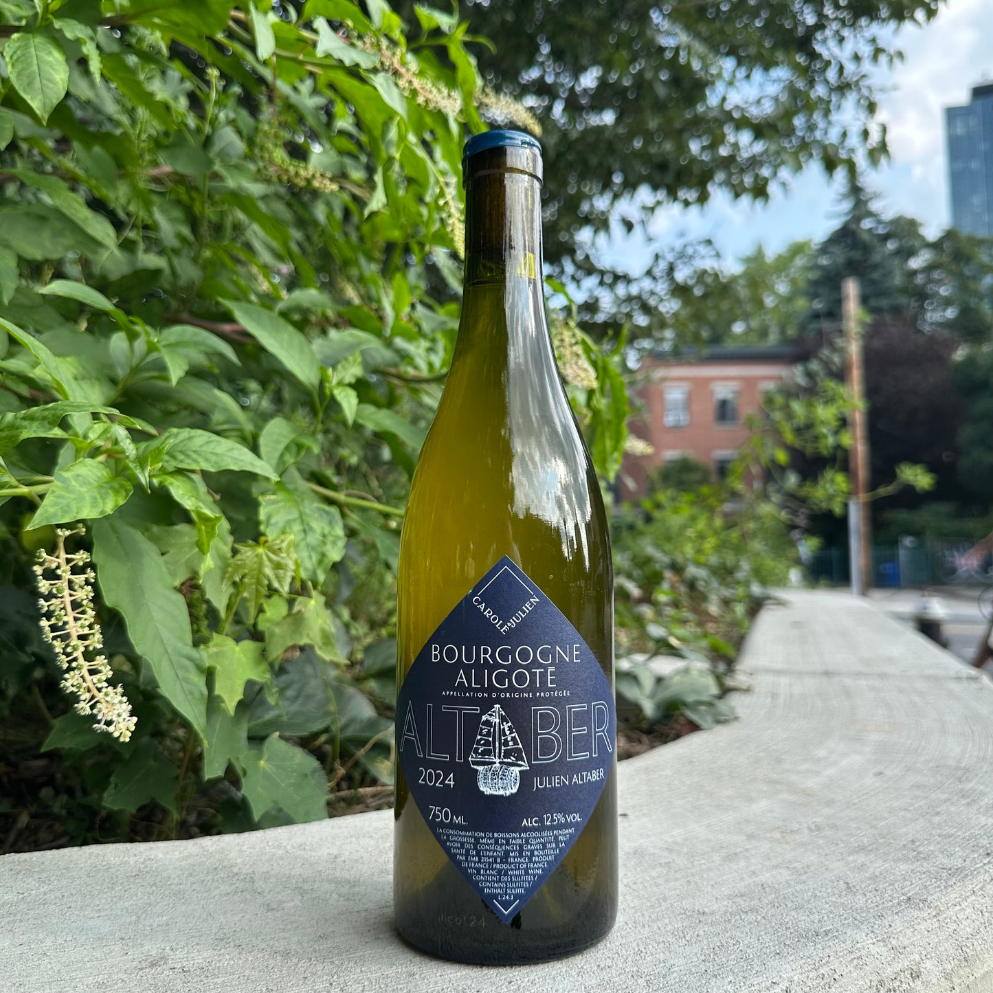 Julien Altaber, "Bourgogne Aligoté" 2024