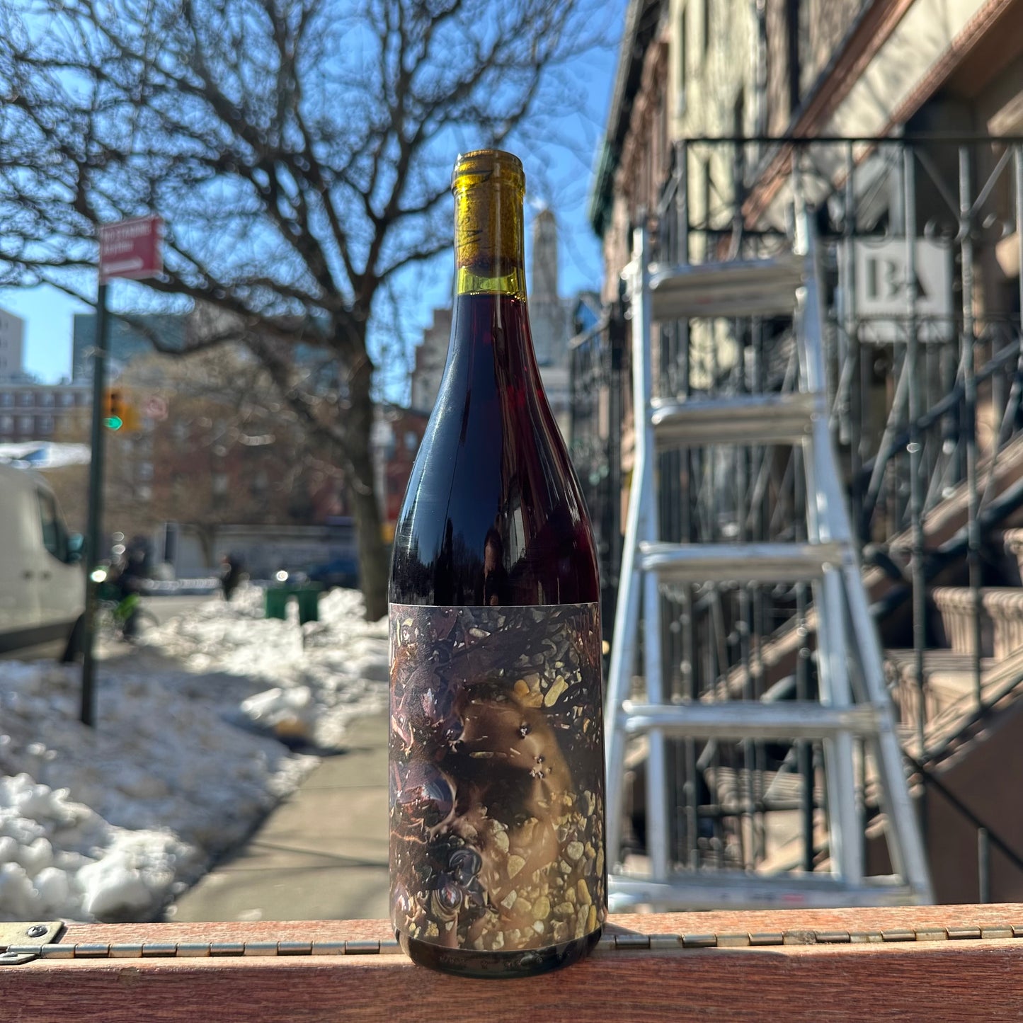 Dorsal, "Cicada" 2023