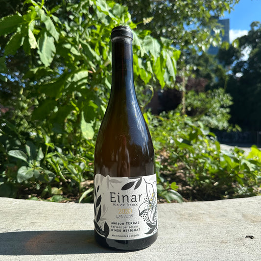 Louis Terral, "Einar" 2020