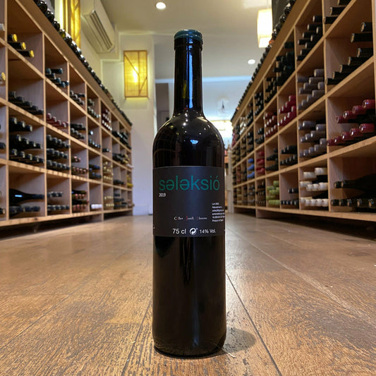 Jordi Llorens, "Seleksió" 2019