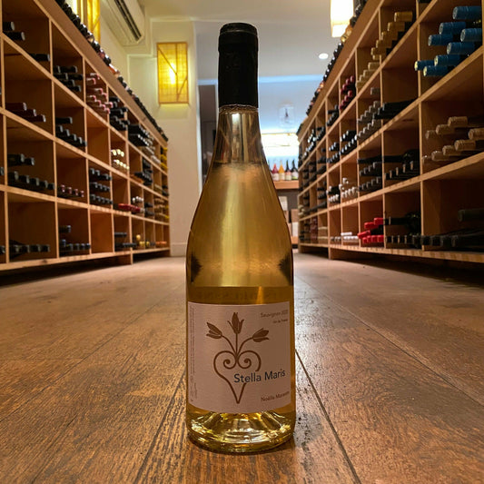 No‚àö¬¥lla Morantin, "Stella Maris" 2020